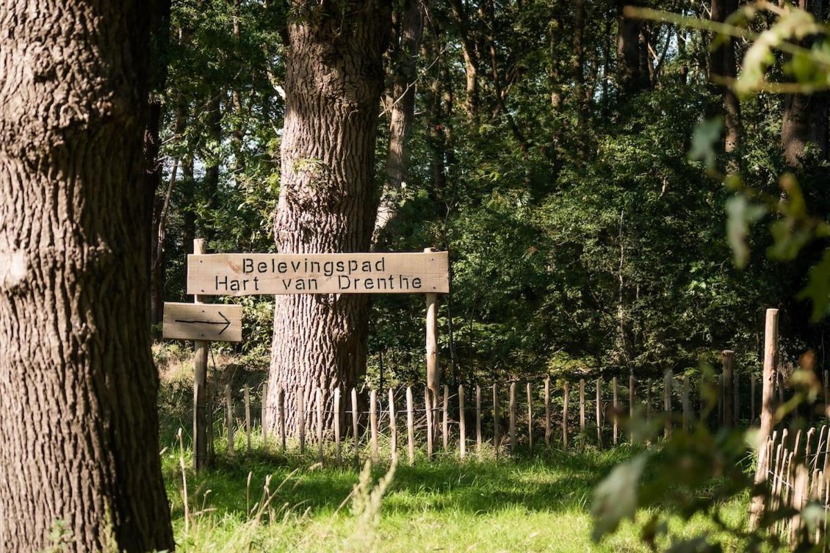 Gekraagde Roodstaart I Met Fijne Groene Tuin Zwiggelte
